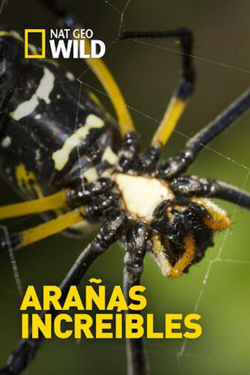 Постер Incredible Spiders